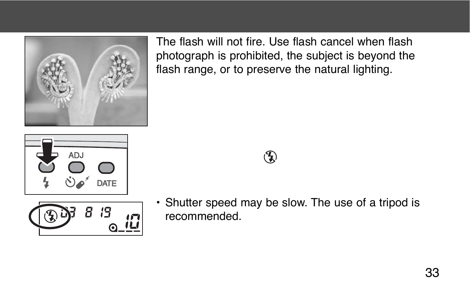 Flash cancel | Konica Minolta 130C User Manual | Page 33 / 56