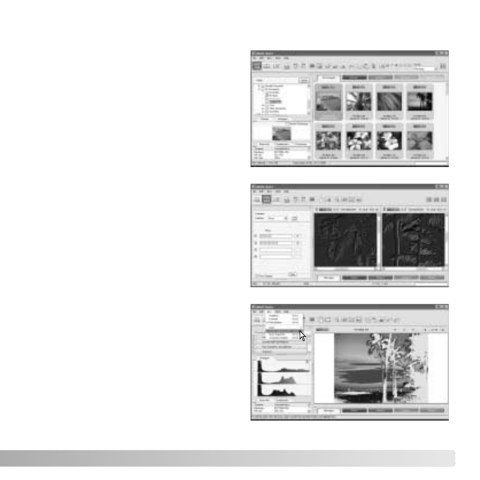 About dimage master | Konica Minolta DiMAGE Z6 User Manual | Page 51 / 132