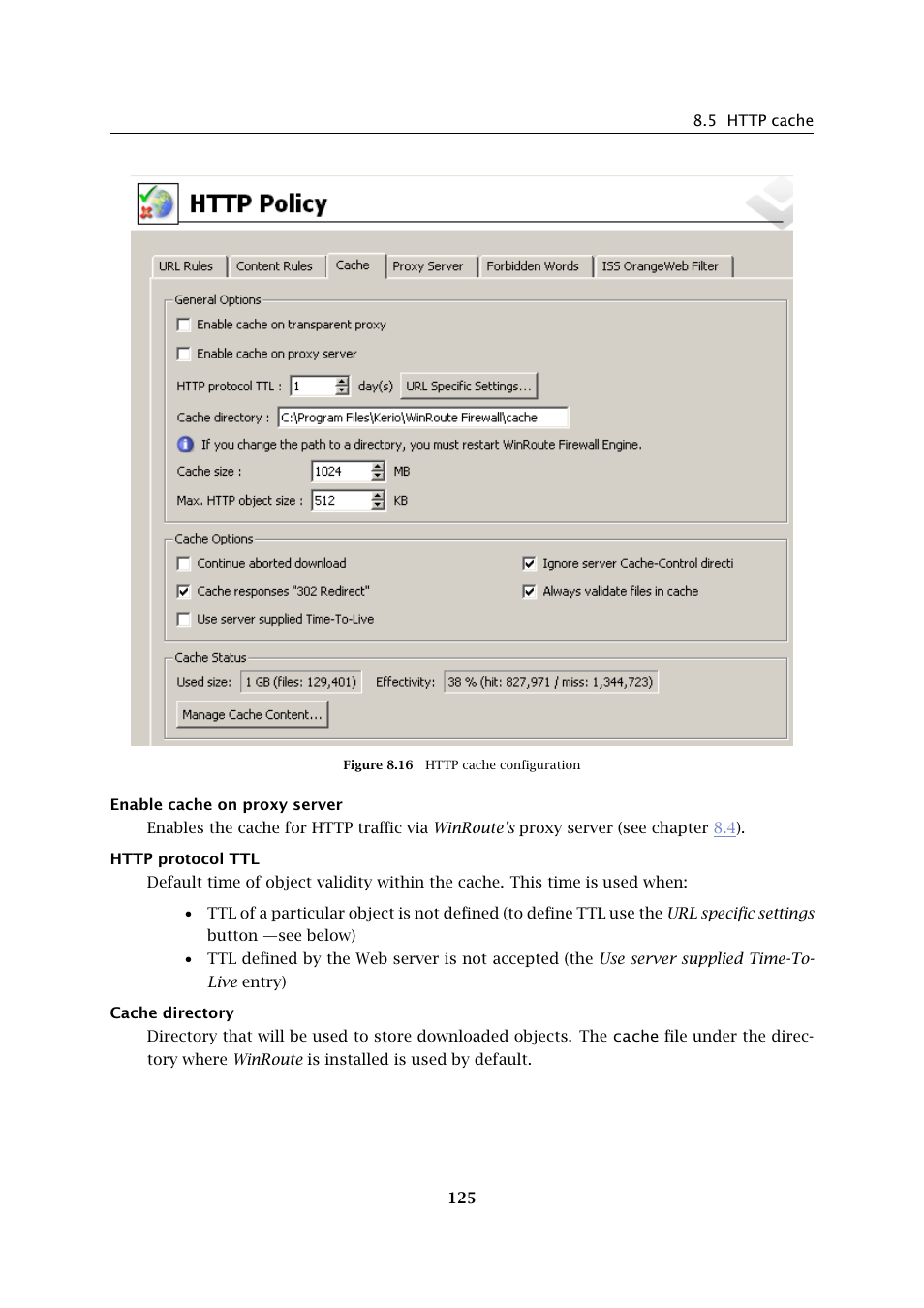 Kerio Tech KERIO WINROUTE FIREWALL 6 User Manual | Page 125 / 368