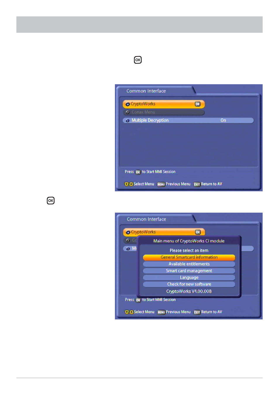Common interface | Kathrein UFC 861si User Manual | Page 25 / 128