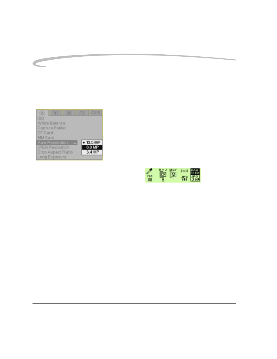 Setting raw resolution, Setting raw resolution -12 | Kodak DCS Pro 14n User Manual | Page 104 / 230
