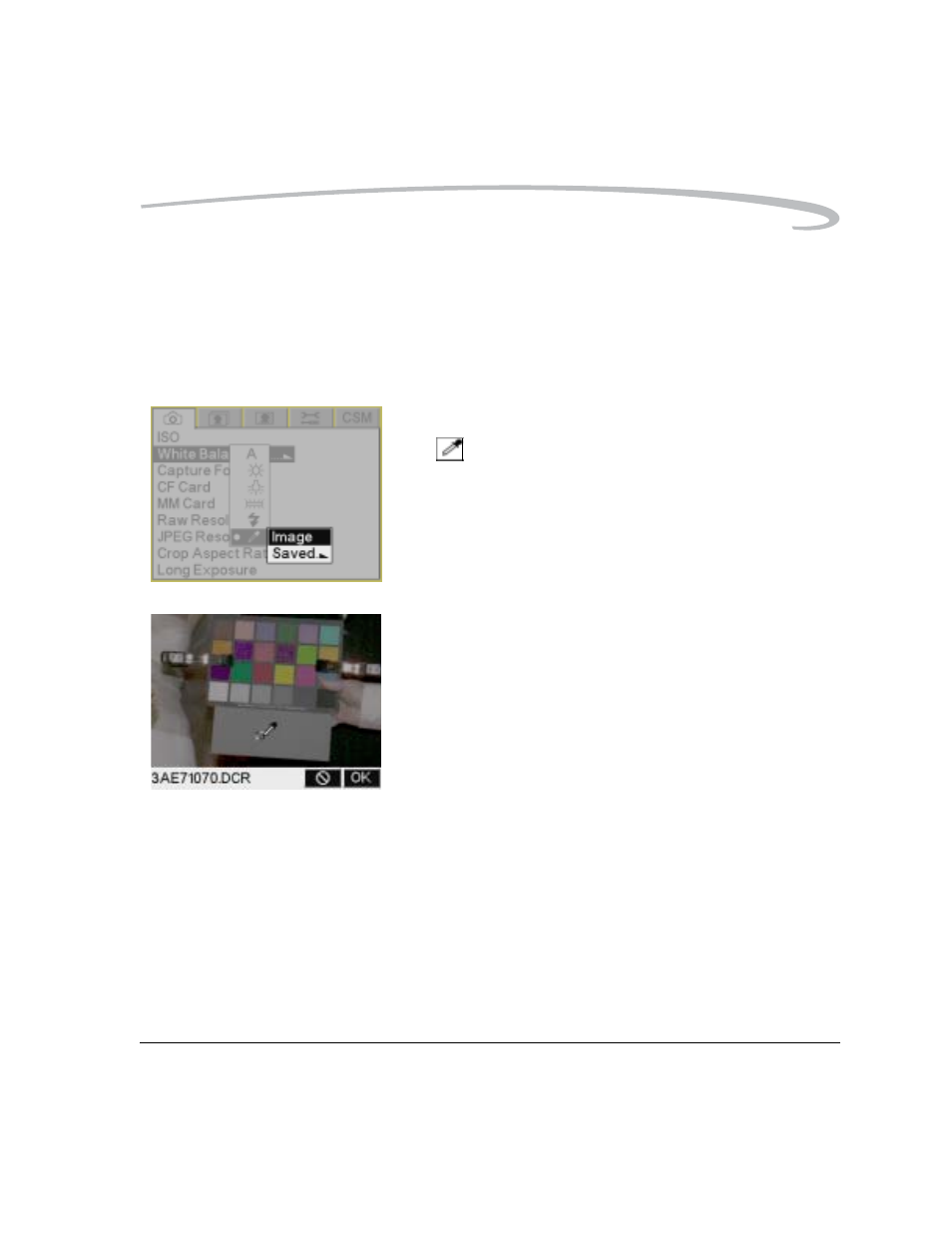 Click balance, Click balance -3, Using the current image for click balance -3 | Kodak DCS Pro 14n User Manual | Page 113 / 230