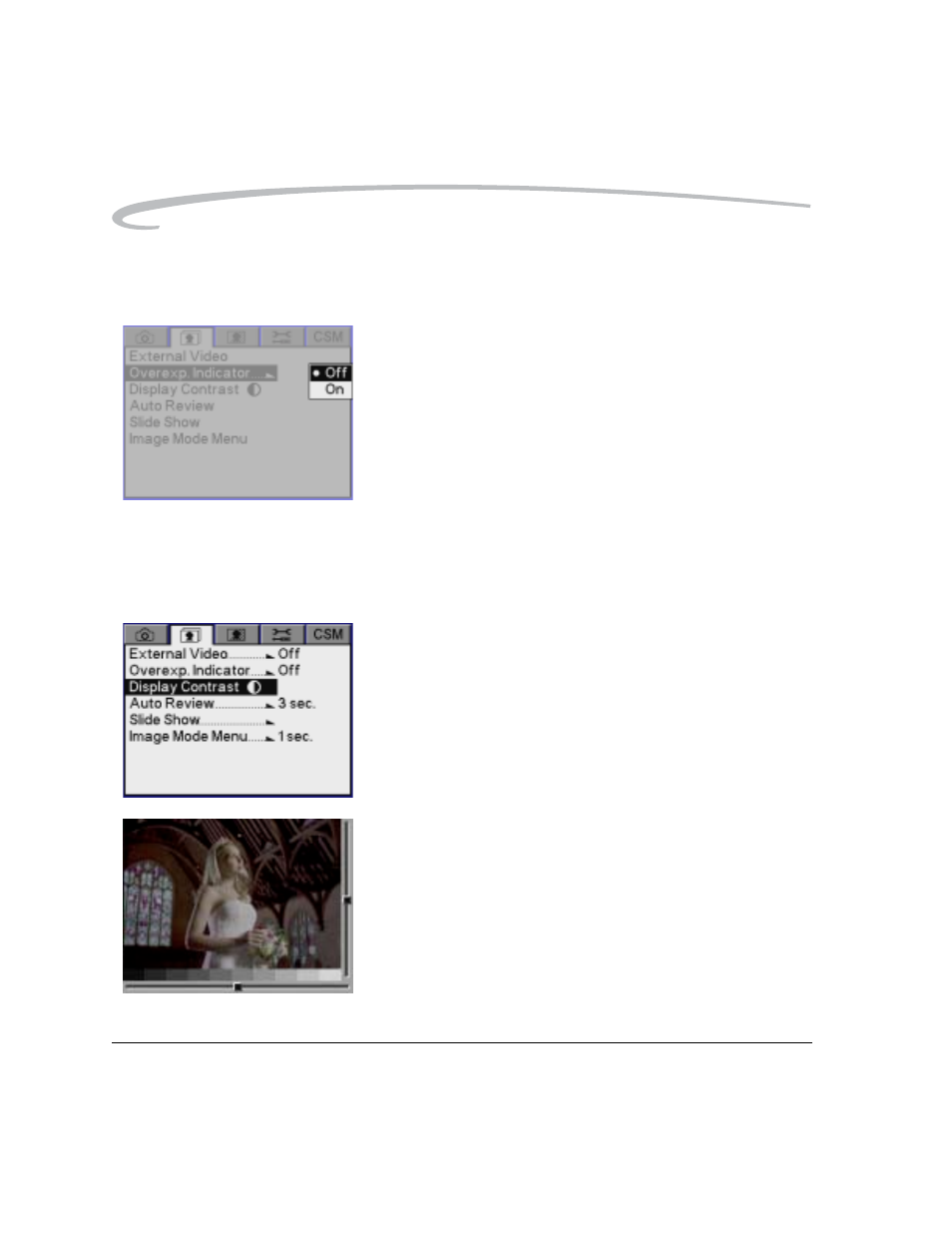 Overexposure indicator, Changing display contrast and brightness | Kodak DCS Pro 14n User Manual | Page 174 / 230
