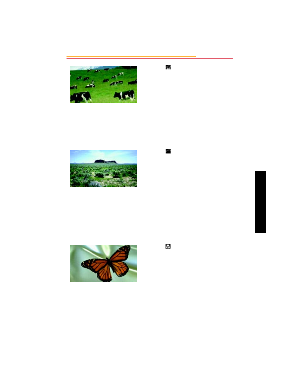 Hyperfocal program, Landscape program, Close-up program | Kodak DCS300 User Manual | Page 95 / 256