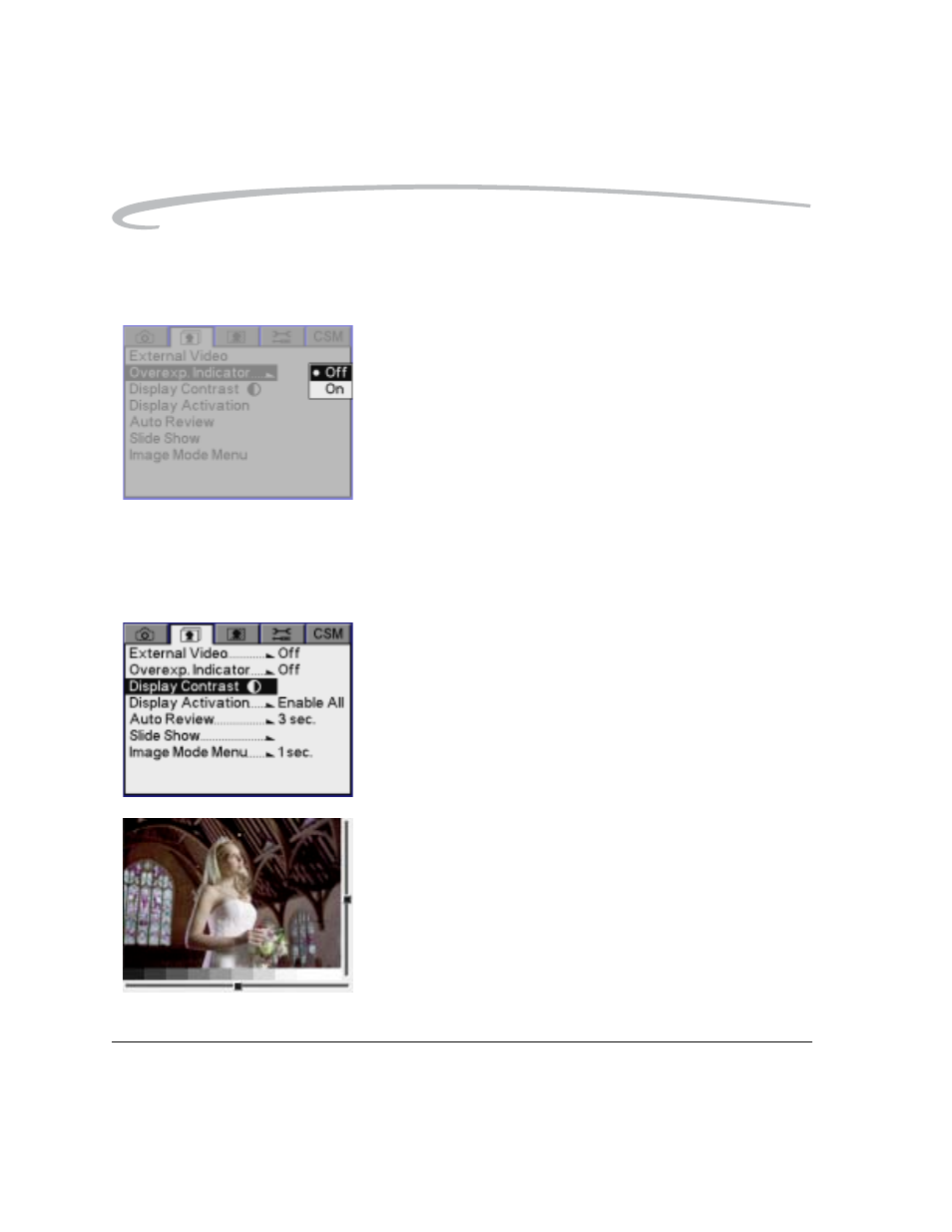 Overexposure indicator, Changing display contrast and brightness | Kodak DCS Pro SLR/n User Manual | Page 188 / 244