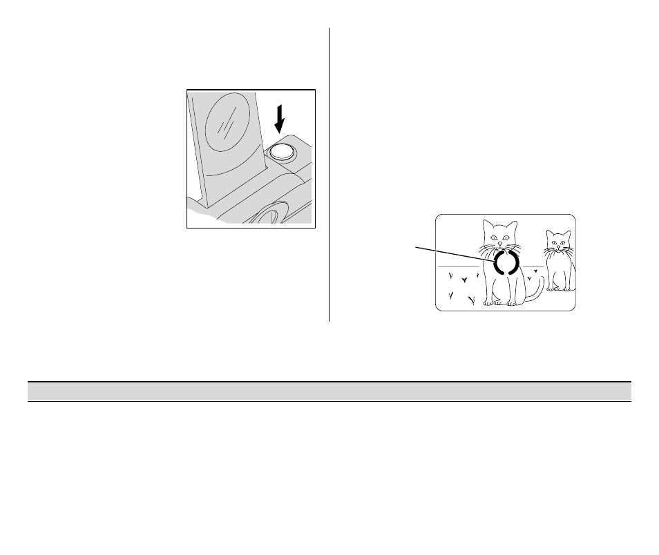 Typical print sizes (formats), Using the focus lock | Kodak Auto Focus Camera T550 User Manual | Page 14 / 65