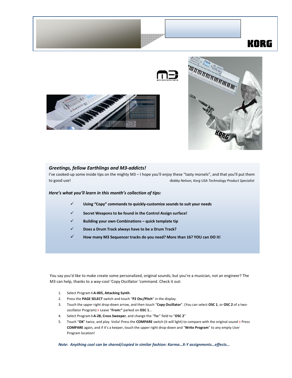 KORG M3 Tips User Manual | 2 pages