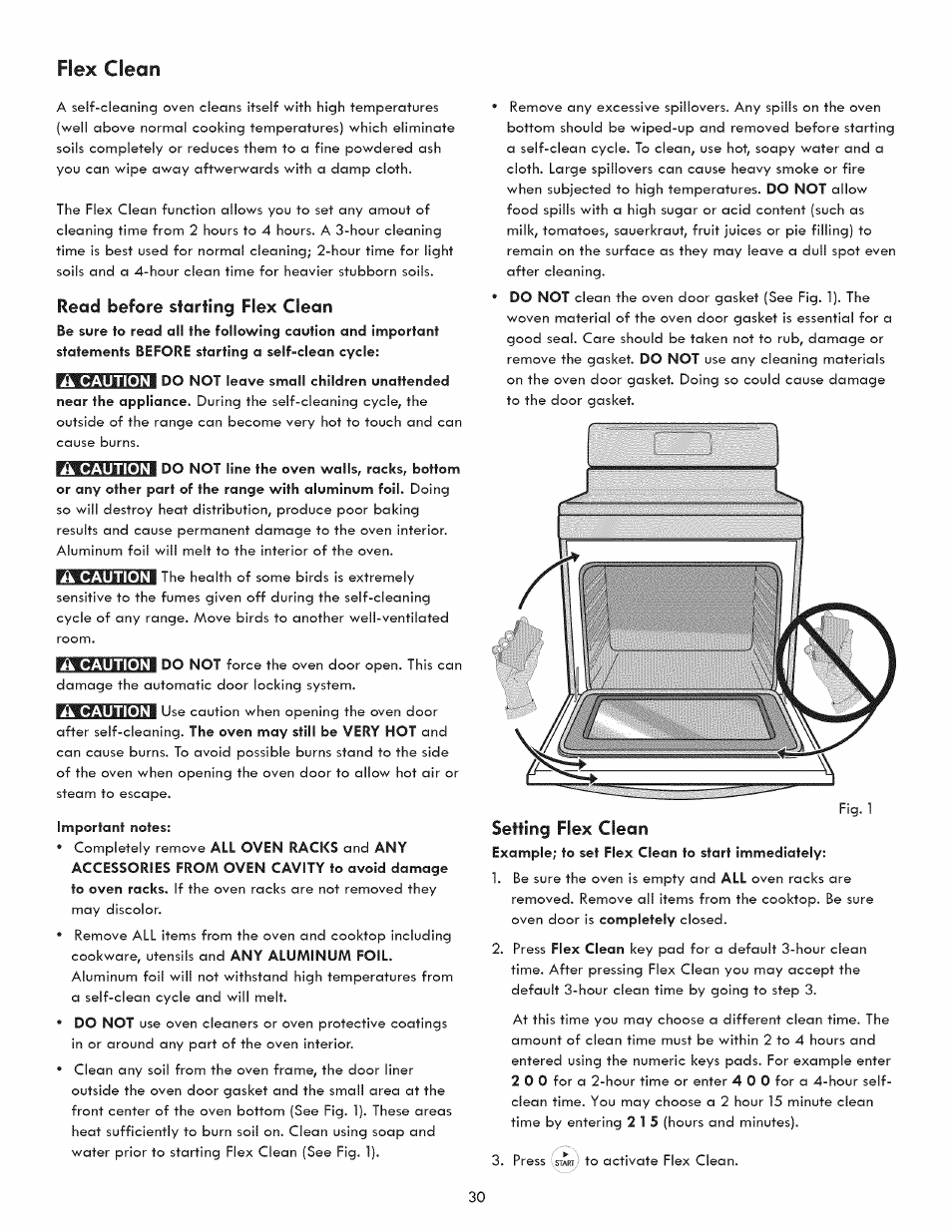 Read before starting flex clean, Flex clean | Kenmore 790.9280 User Manual | Page 30 / 40