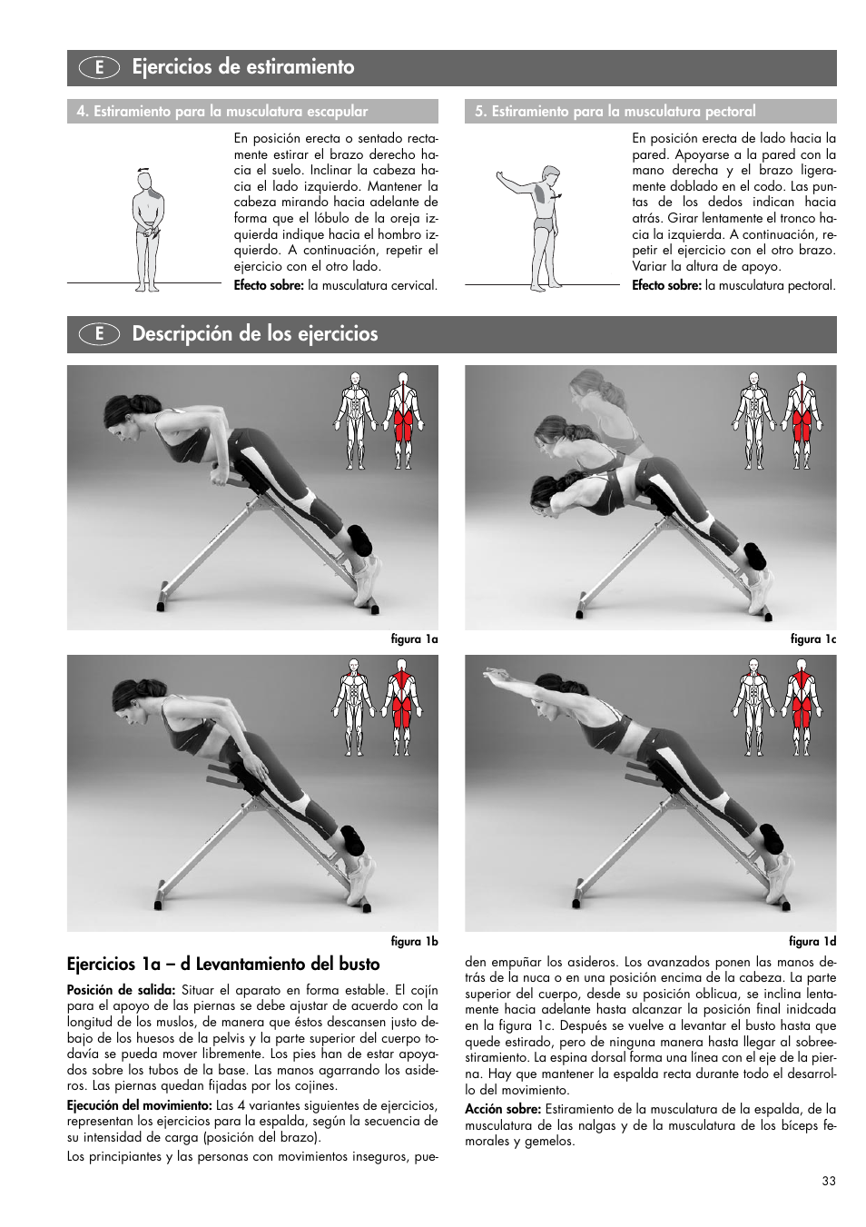 Descripción de los ejercicios, Ejercicios de estiramiento | Kettler 07820-400 User Manual | Page 33 / 40