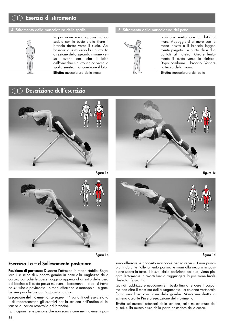 Esercizi di stiramento, Descrizione dell’esercizio | Kettler 07820-400 User Manual | Page 36 / 40