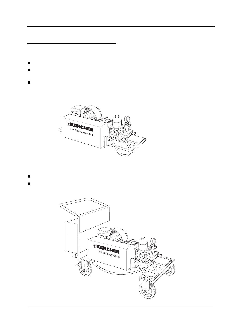 B. types of system, and operating information | Karcher SHD-R 3000 User Manual | Page 9 / 37