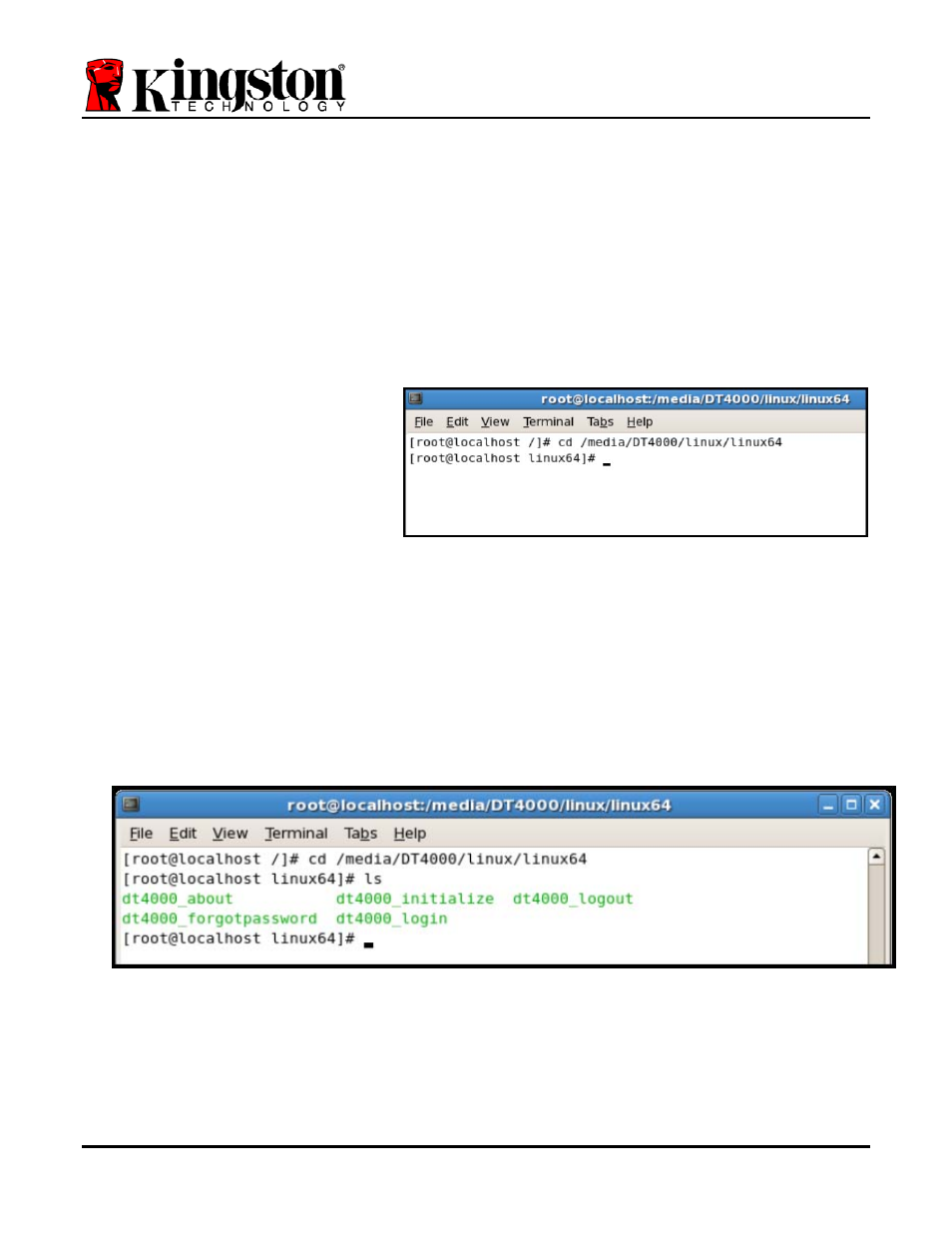 Device initialization (linux), Device initialization (linux environment) | Kingston Technology 4000 User Manual | Page 21 / 27