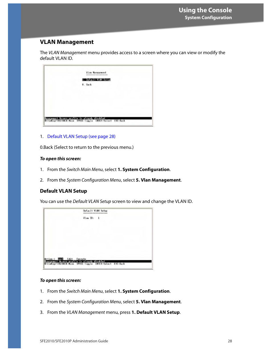 Vlan management, Using the console | Linksys SFE2010 User Manual | Page 31 / 67