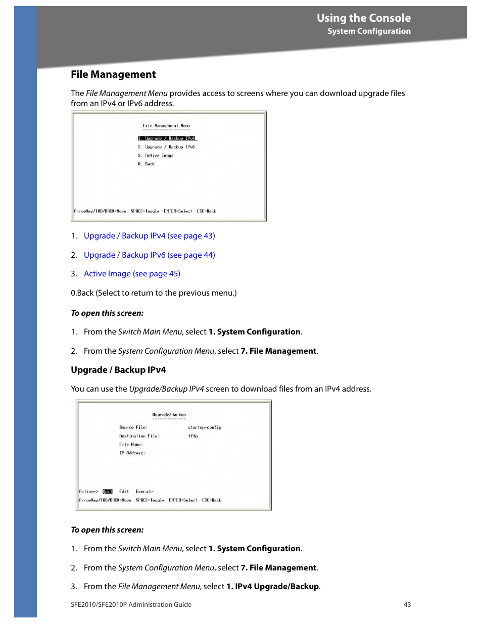 File management, Using the console | Linksys SFE2010 User Manual | Page 46 / 67