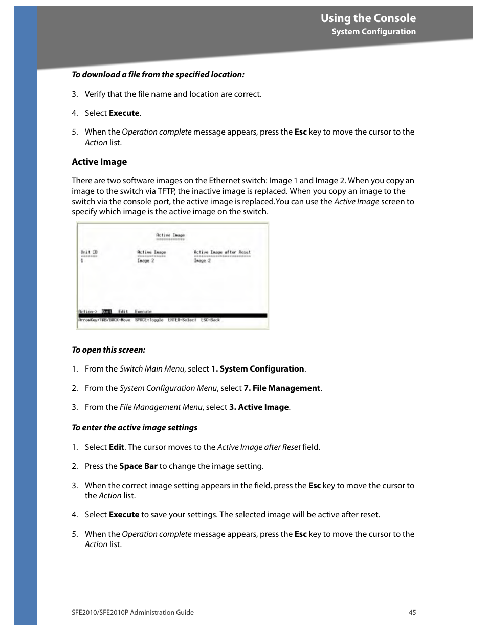 Using the console | Linksys SFE2010 User Manual | Page 48 / 67