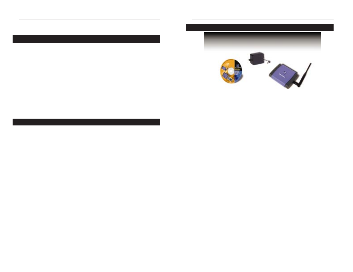Chapter 1: introduction | Linksys WPS11 User Manual | Page 4 / 31