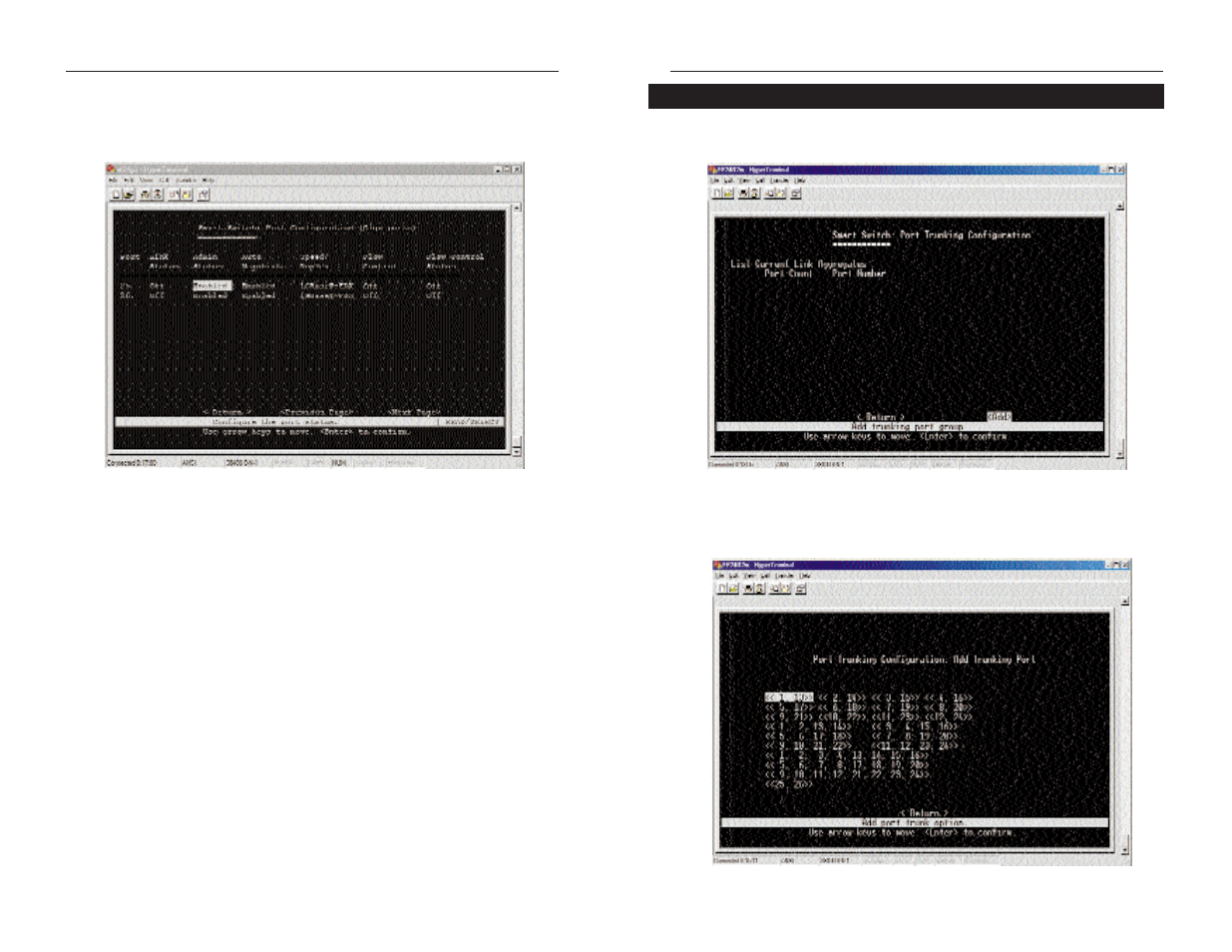 Linksys Dual Gigabit with 24-Port 10/100 Switch EF24G2 User Manual | Page 11 / 19