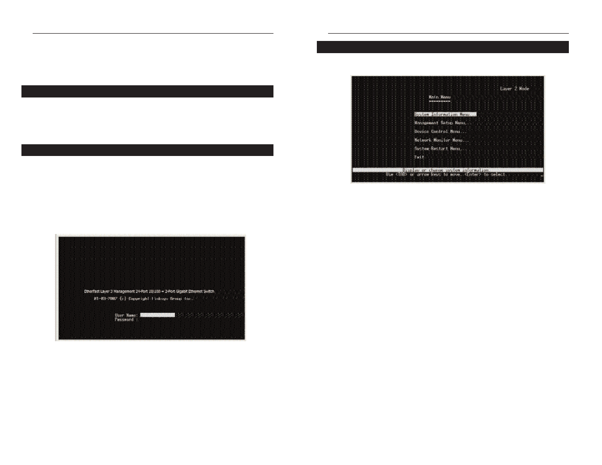 Configuring the switch using the console interface | Linksys EF1324 User Manual | Page 10 / 68