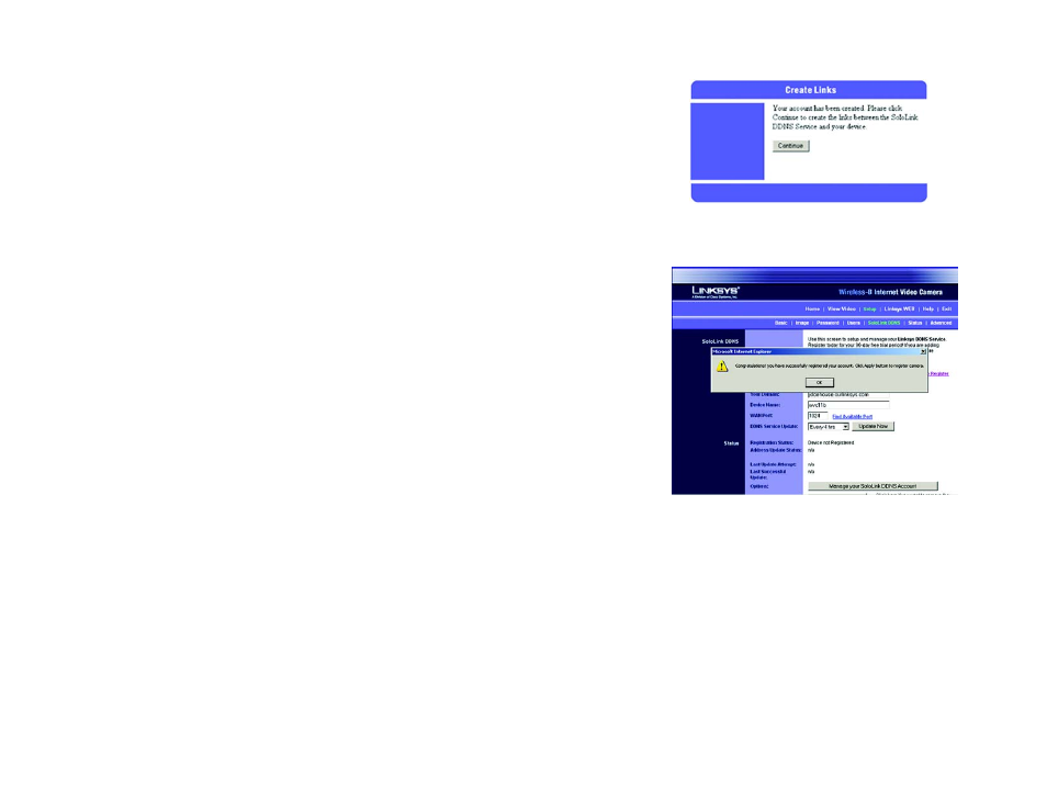 Linksys WVC11B User Manual | Page 43 / 87