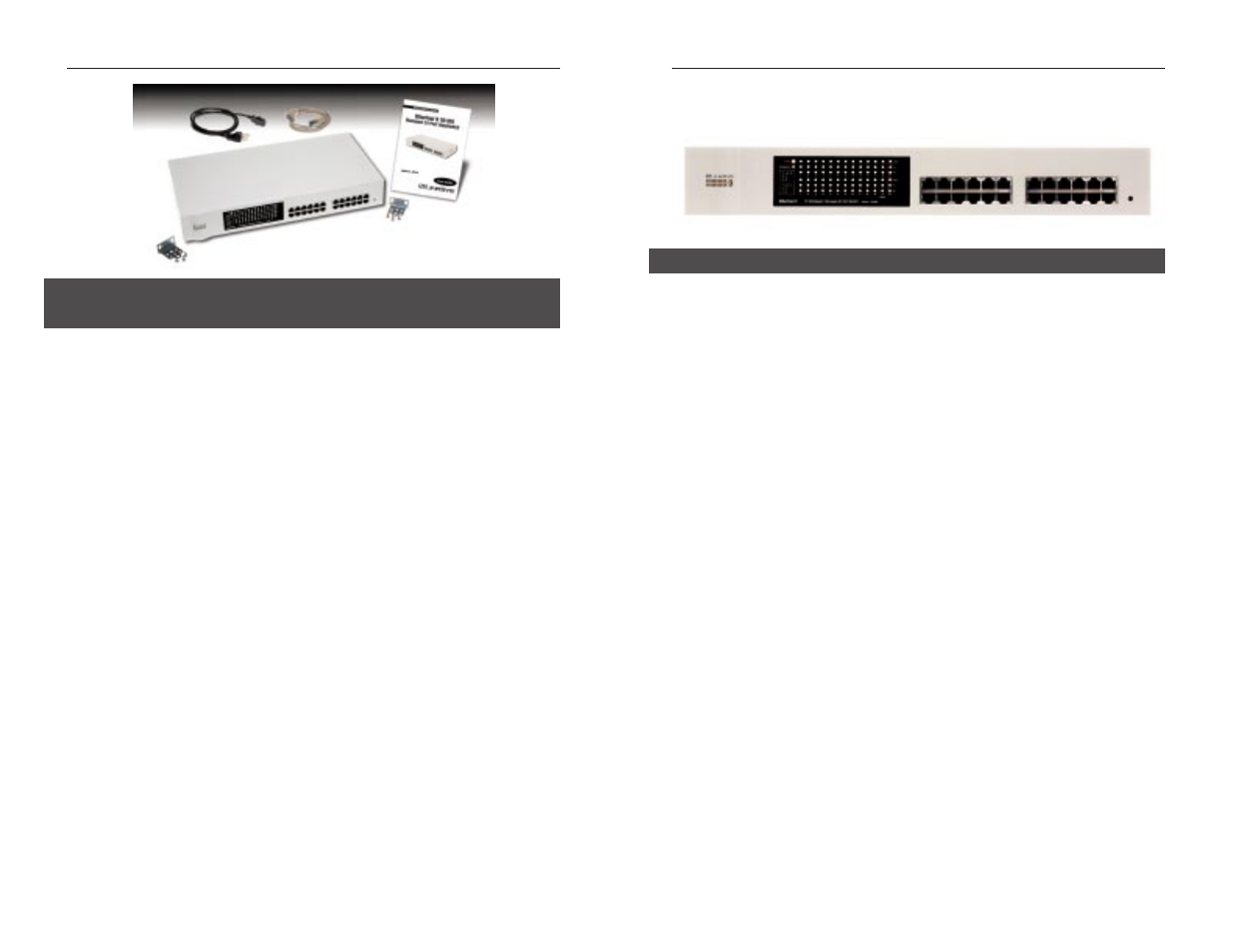Getting to know the gigaswitch | Linksys EG24M User Manual | Page 5 / 46