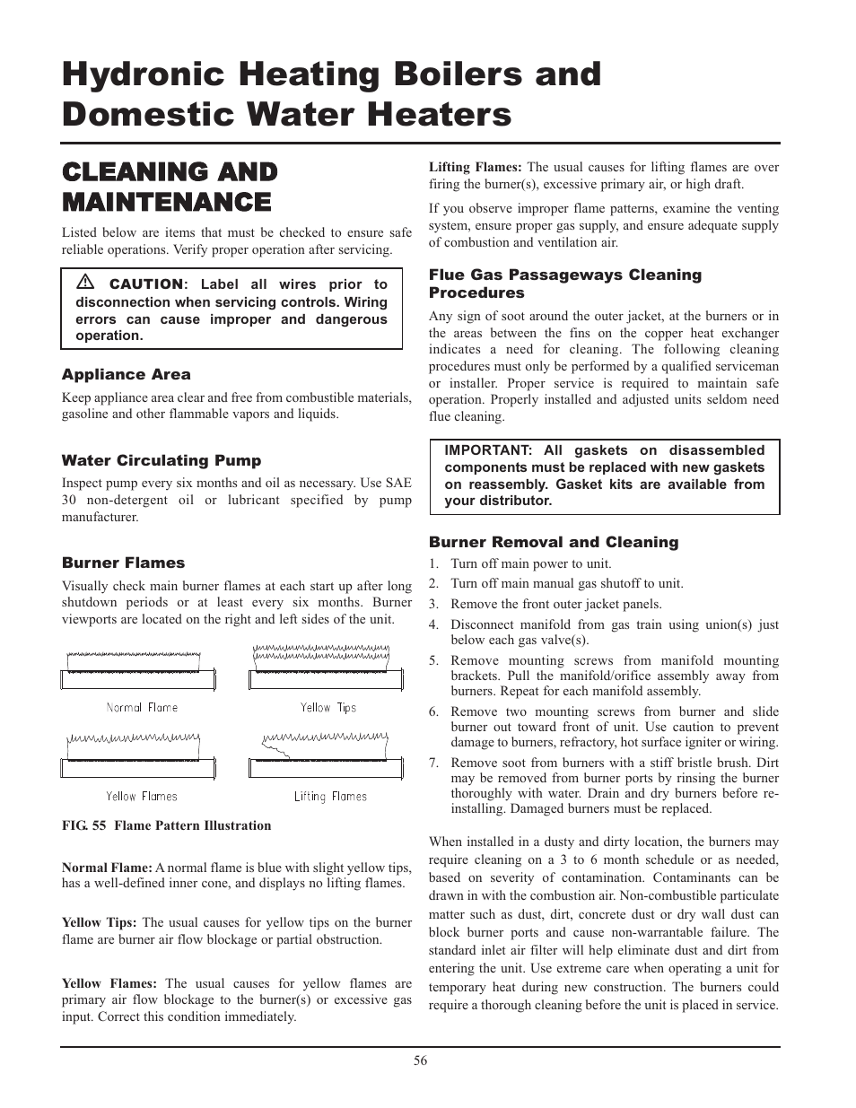 Cleaning and maintenance | Lochinvar 399 User Manual | Page 56 / 72