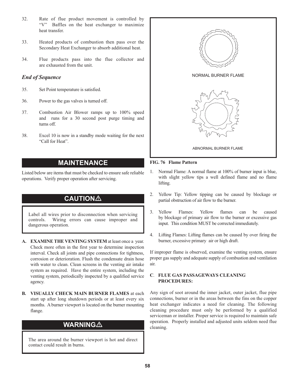 Maintenance, Caution ƽ, Warning ƽ | Lochinvar 000 through 2 User Manual | Page 58 / 80