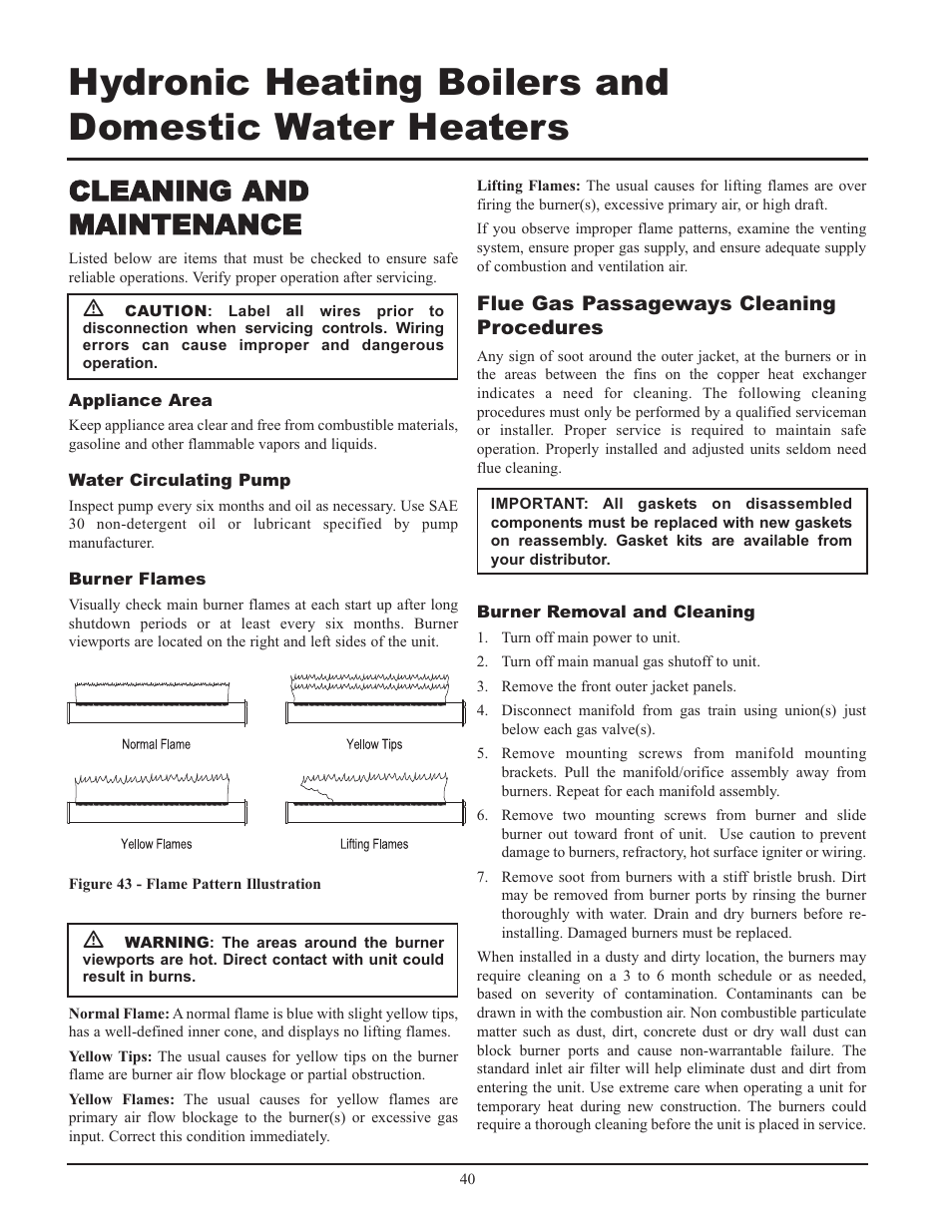 Cleaning and maintenance | Lochinvar 000 - 2 User Manual | Page 40 / 52
