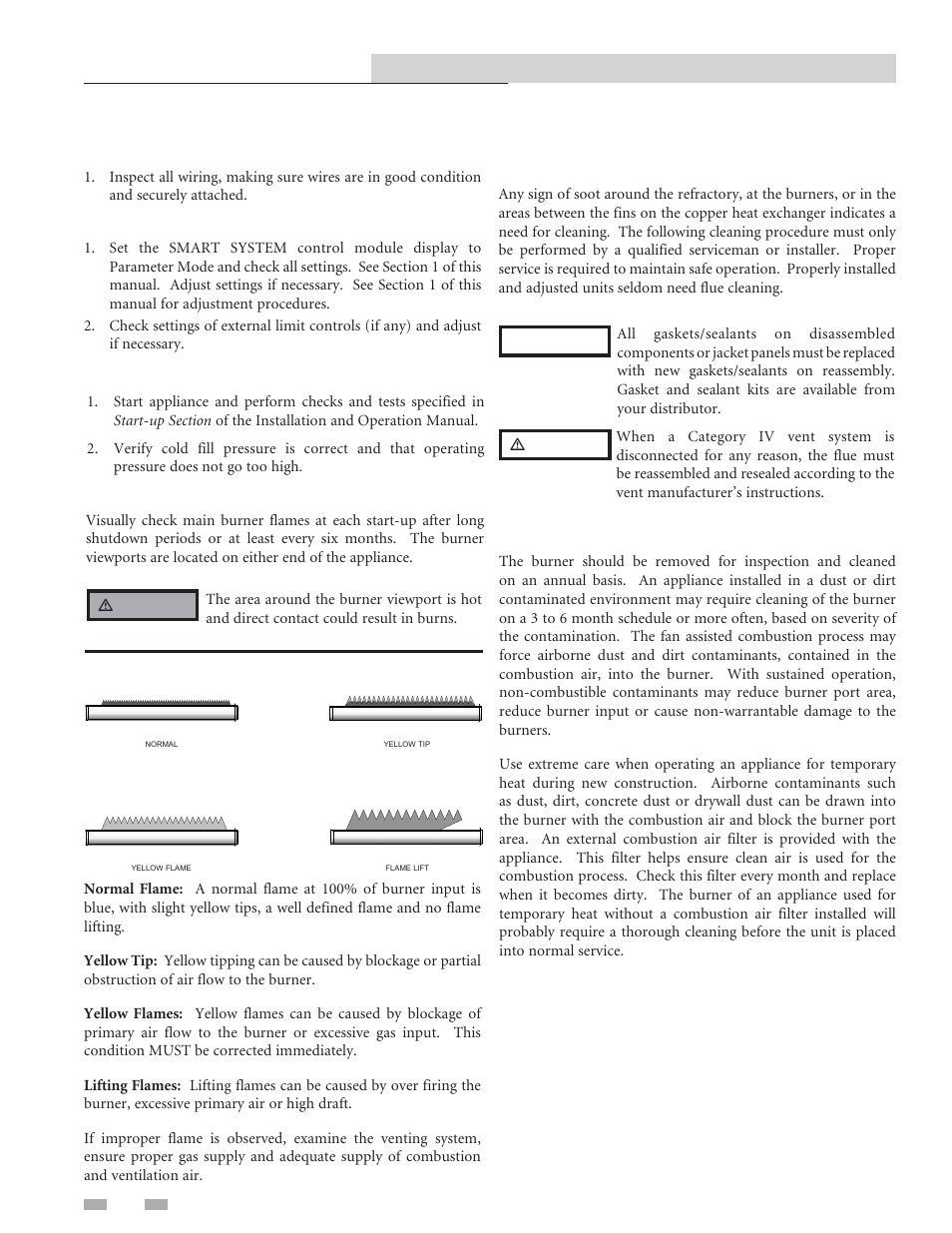 Maintenance, Check all wiring, Check control settings | Check burner flame, Perform start-up and checks, Check flue gas passageways, Inspect and clean burner | Lochinvar Copper-fin II/IIE 402 - 2072 User Manual | Page 28 / 44