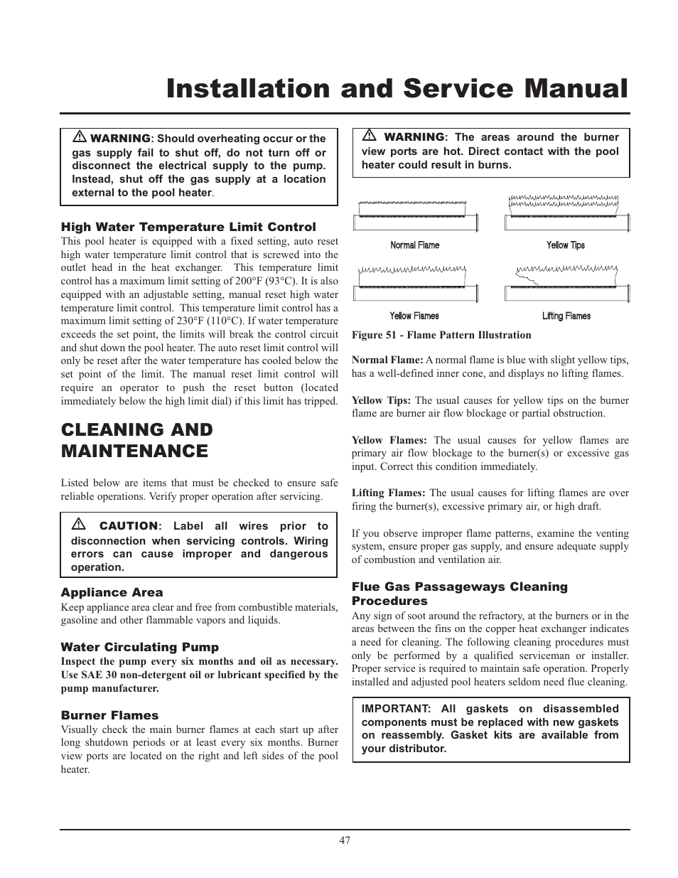 Installation and service manual, Cleaning and maintenance | Lochinvar GAS HEATER FOR COMMERICAL POOL APPLICATIONS User Manual | Page 47 / 60