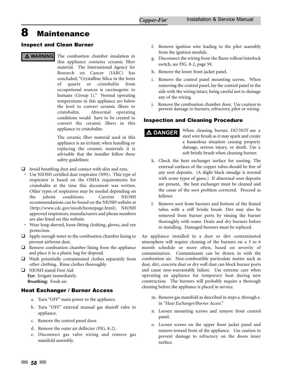 Maintenance | Lochinvar 000 - 500 User Manual | Page 58 / 68