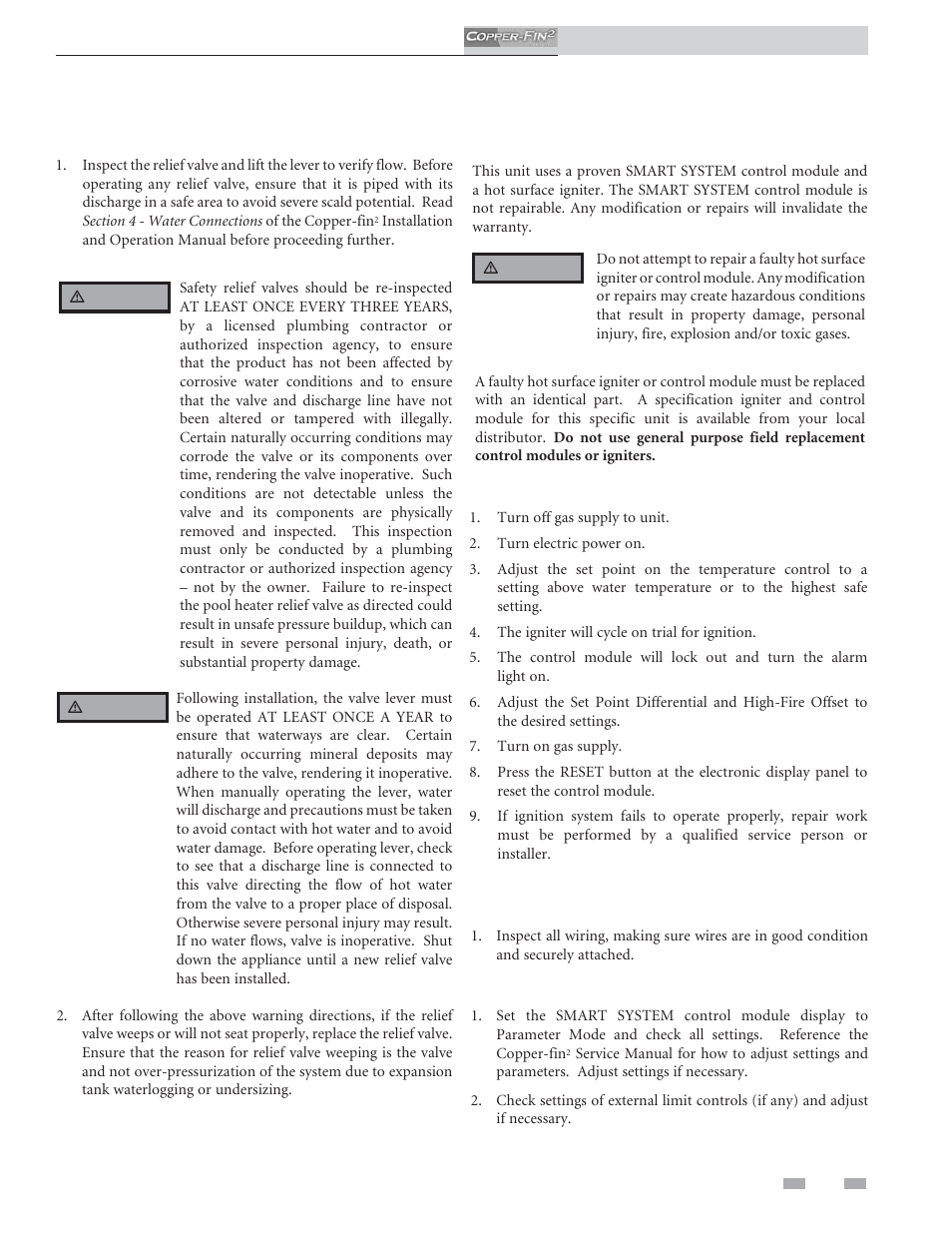 Maintenance, Check relief valve, Inspect/replace hot surface igniter | Check all wiring, Check control settings | Lochinvar COPPER-FINN2 502 User Manual | Page 59 / 68