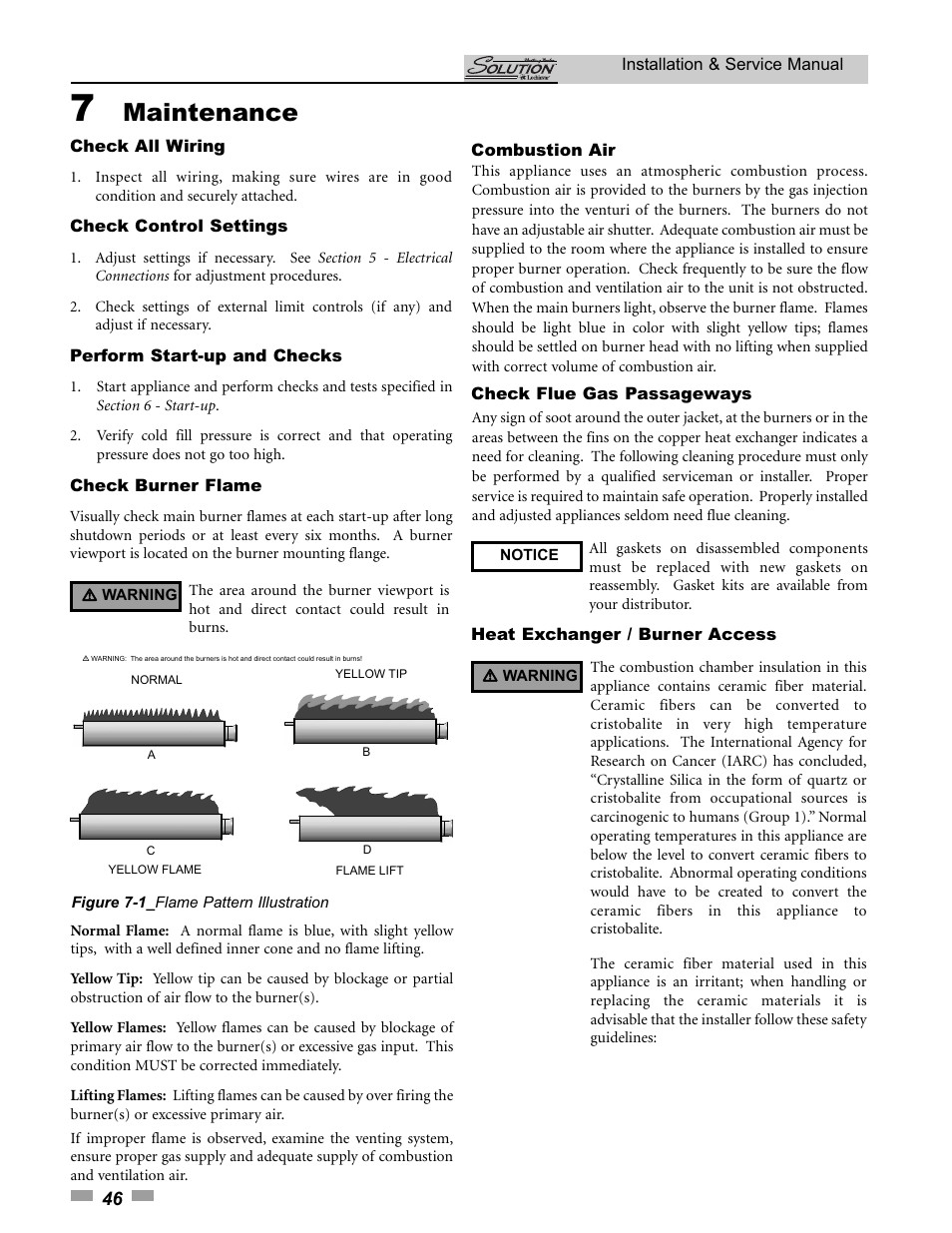 Maintenance | Lochinvar SOLUTION 45000 User Manual | Page 46 / 52