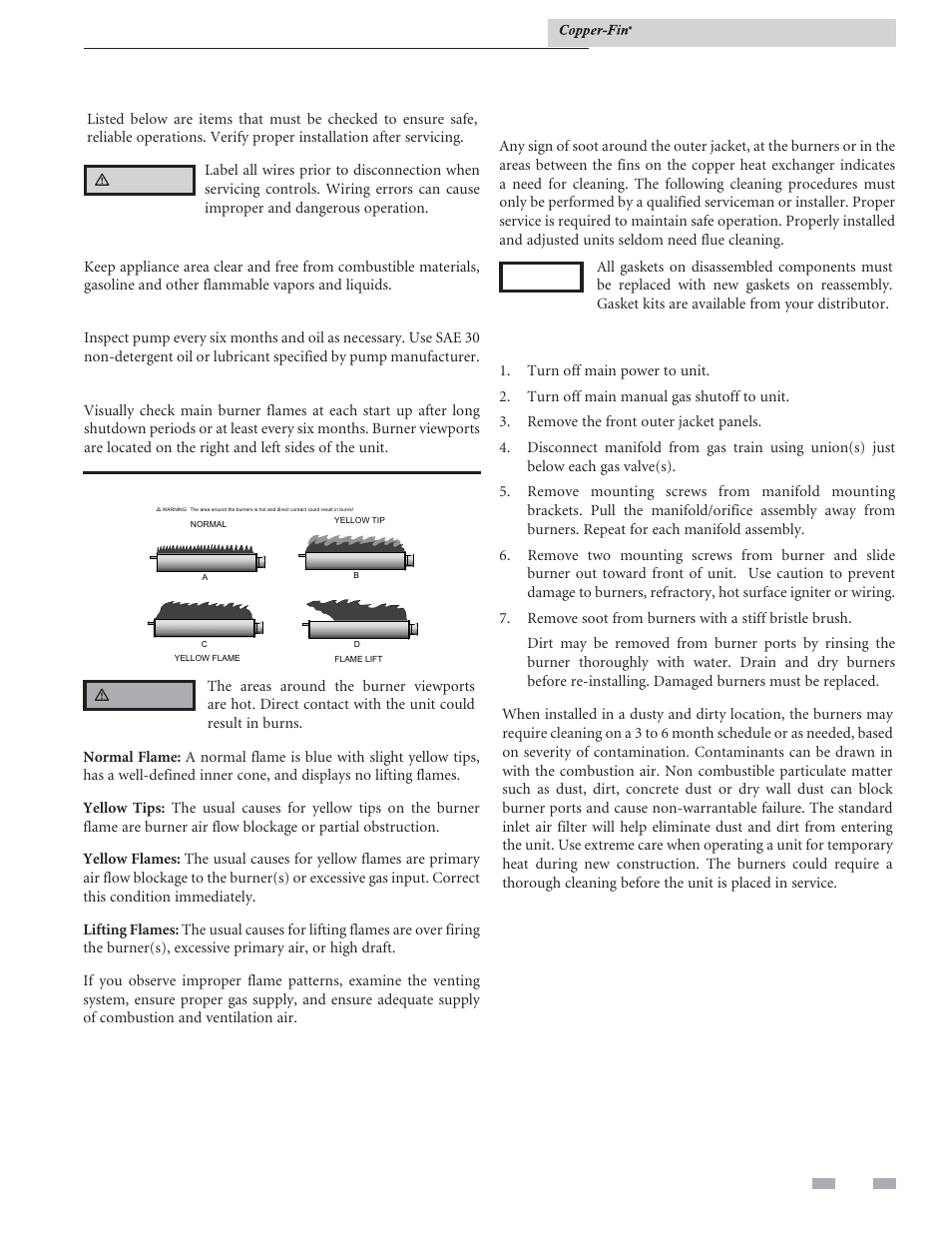 Maintenance | Lochinvar COPPER-FIN 497 - 2067 User Manual | Page 57 / 68