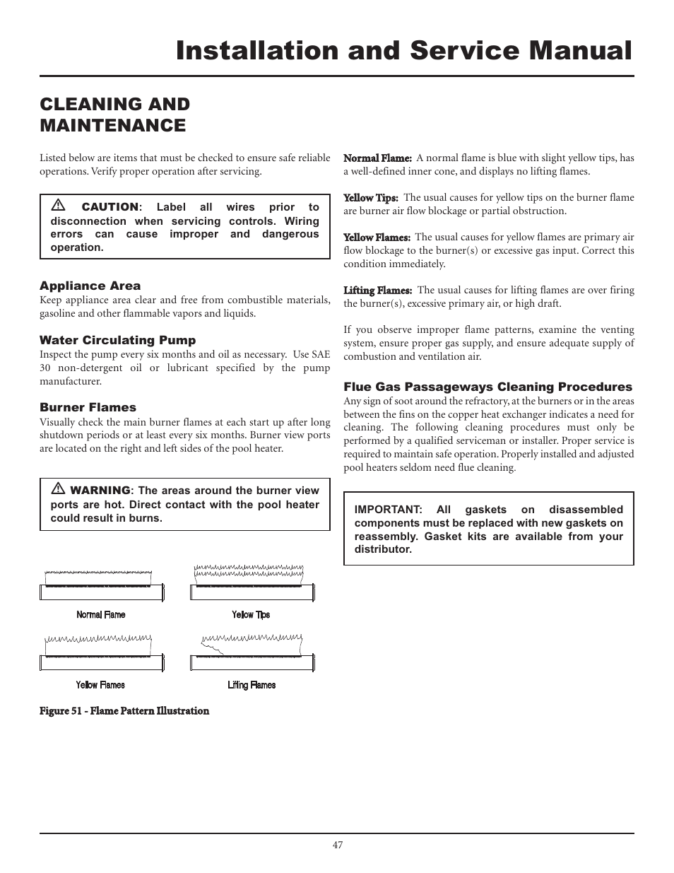 Installation and service manual, Cleaning and maintenance | Lochinvar F0600187510 User Manual | Page 47 / 60