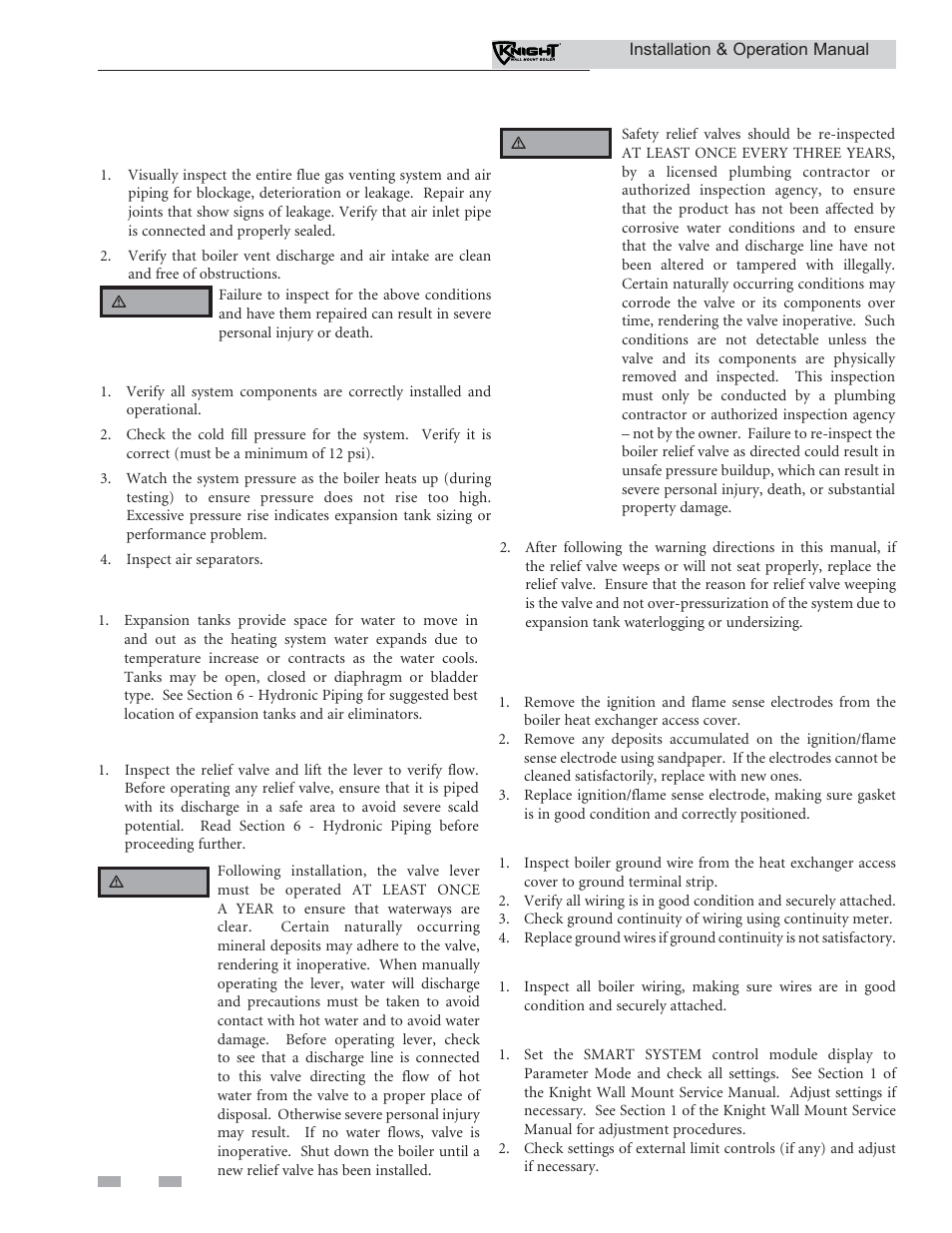 Maintenance, Check expansion tank, Check boiler relief valve | Inspect ignition and flame sense electrodes, Check ignition ground wiring, Check all boiler wiring, Check control settings, Flue vent system and air piping, Check water system | Lochinvar Wall Mount Boiler WH 55-399 User Manual | Page 76 / 80