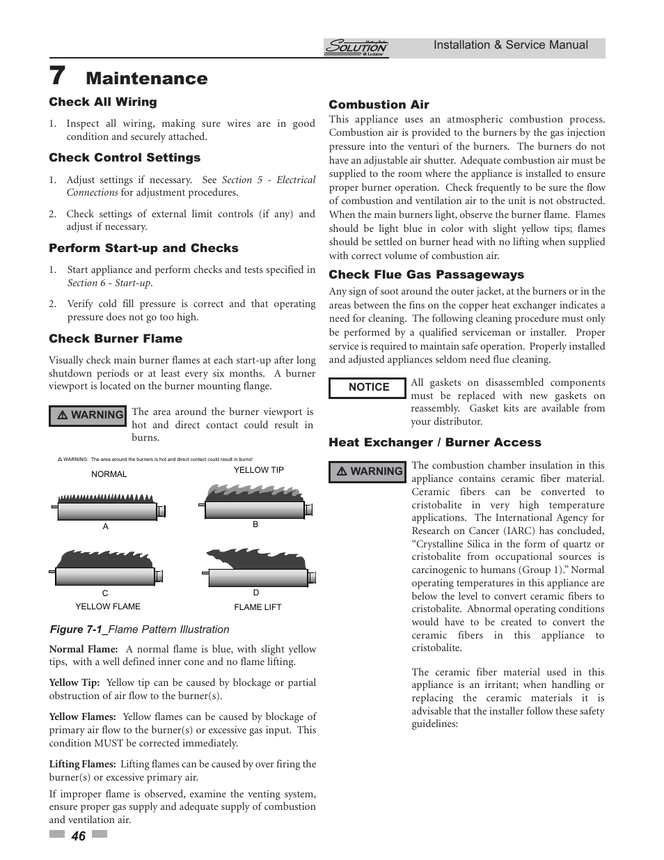 Maintenance | Lochinvar 45 User Manual | Page 46 / 52