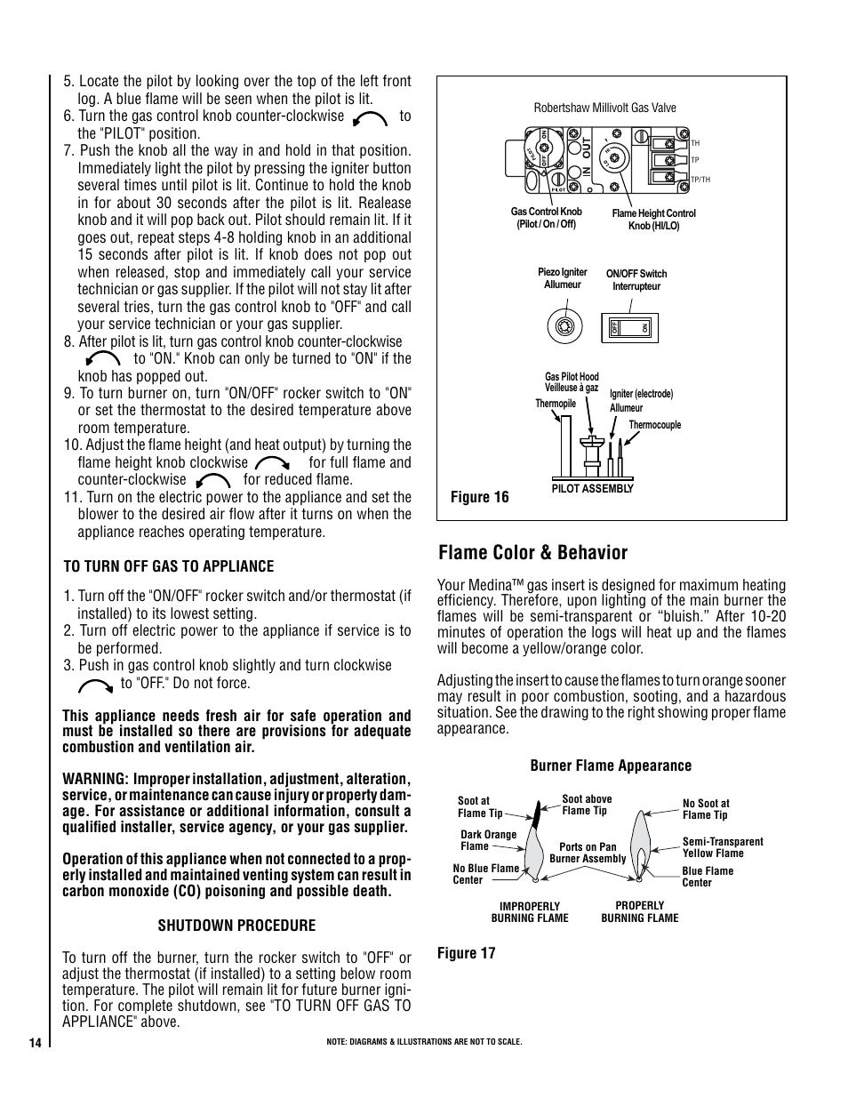 Flame color & behavior | Lennox International Inc. Direct-Vent Gas User Manual | Page 14 / 24