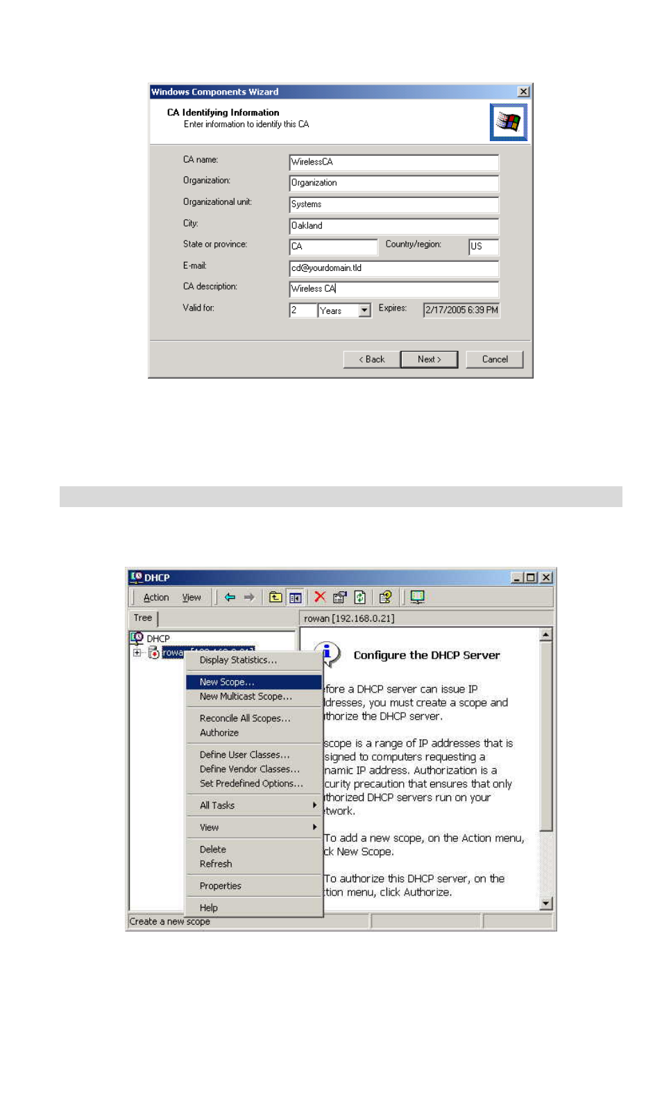 Dhcp server configuration | LevelOne WBR-3407 11g User Manual | Page 42 / 99