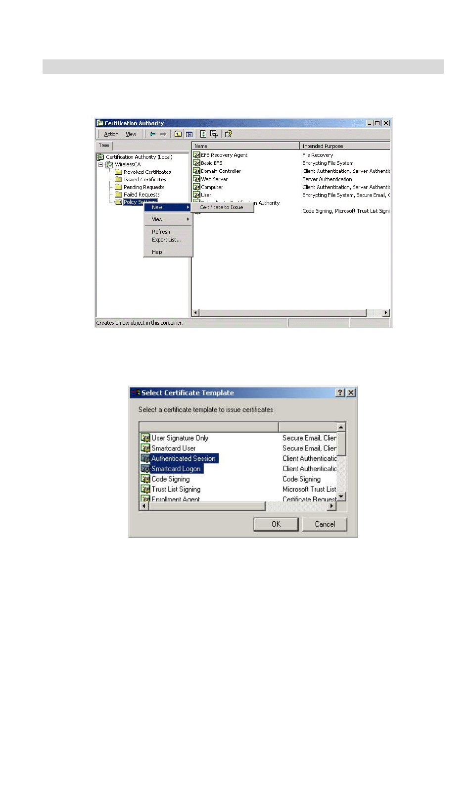 Certificate authority setup | LevelOne WBR-3407 11g User Manual | Page 44 / 99