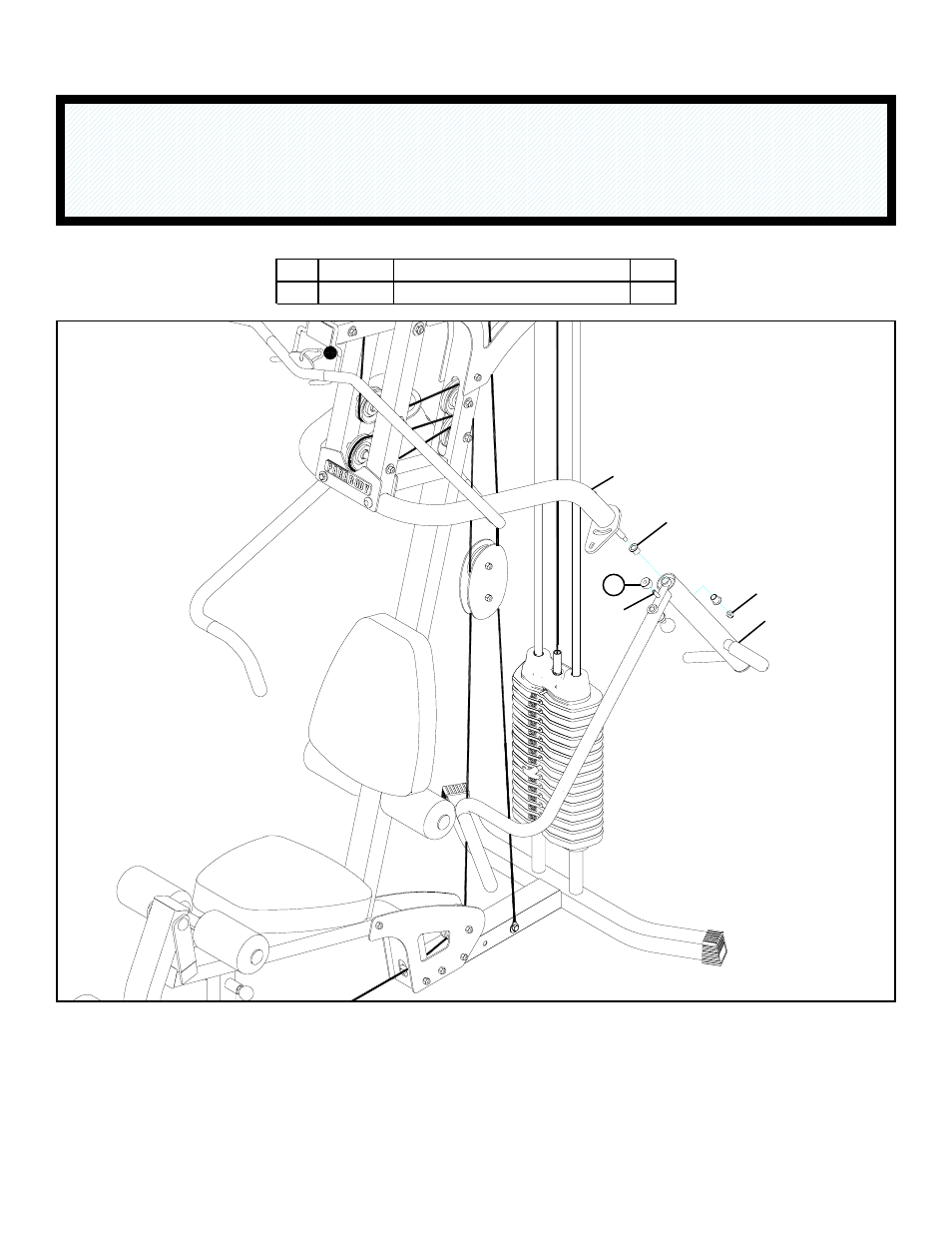 Life Fitness Gym System Addendum 220 User Manual | 1 page