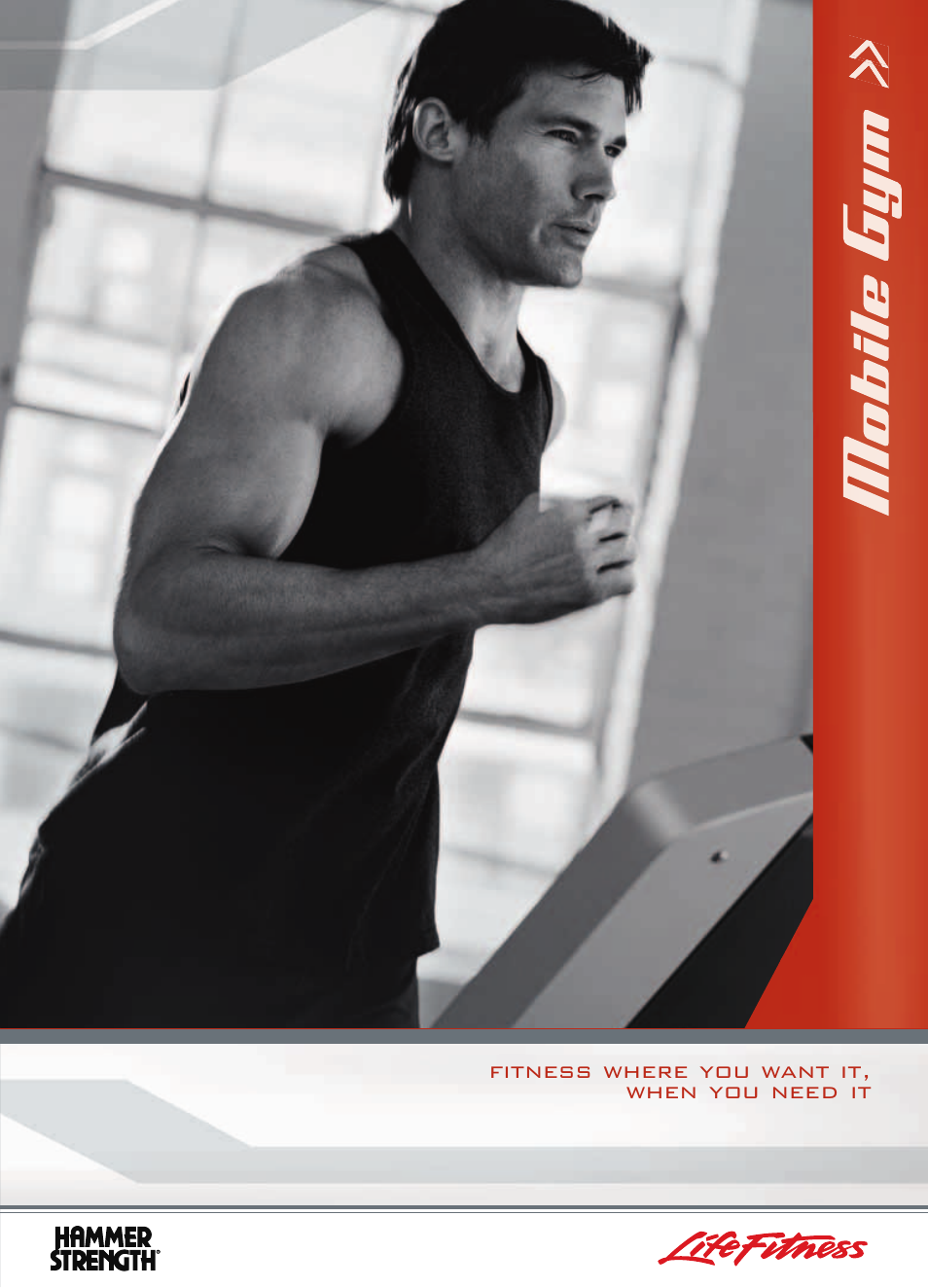 Life Fitness Mobile Gym User Manual | 4 pages