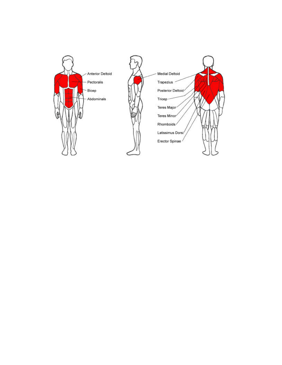 Upper body exercise machines | Life Fitness Pro Series User Manual | Page 11 / 61