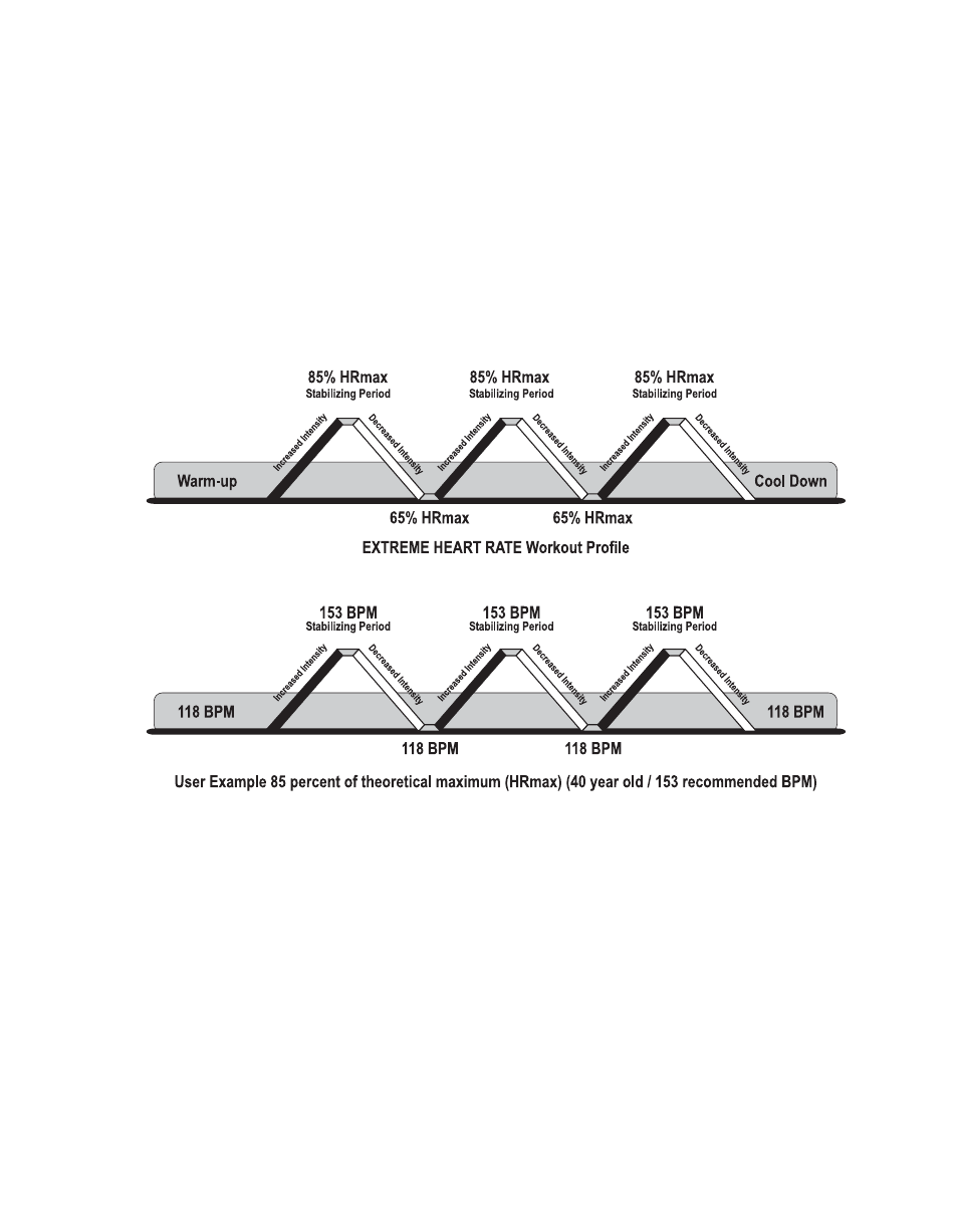 Life Fitness 95RI User Manual | Page 28 / 40