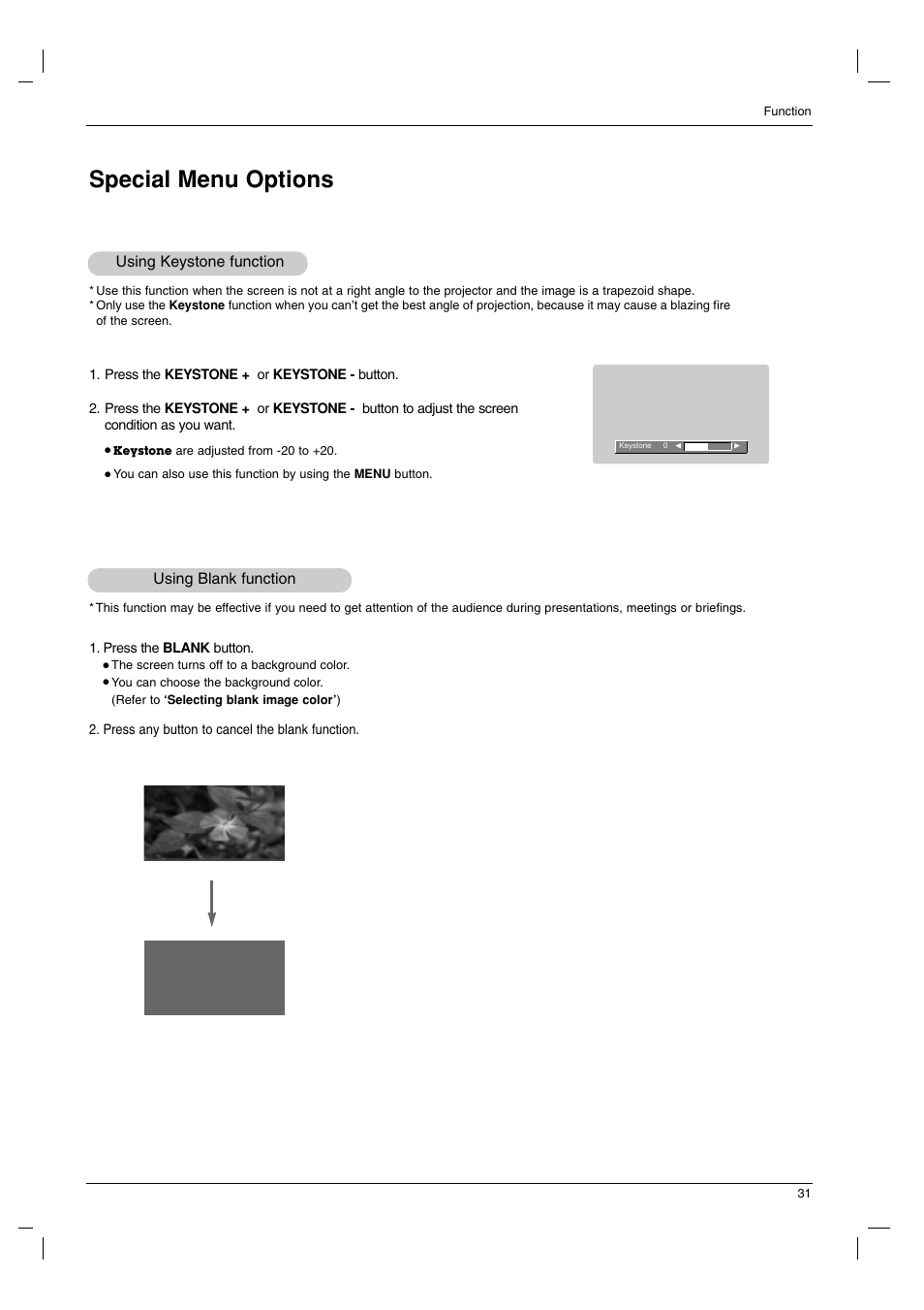 Special menu options, Using keystone function, Using blank function | LG AN110B-JD User Manual | Page 31 / 48