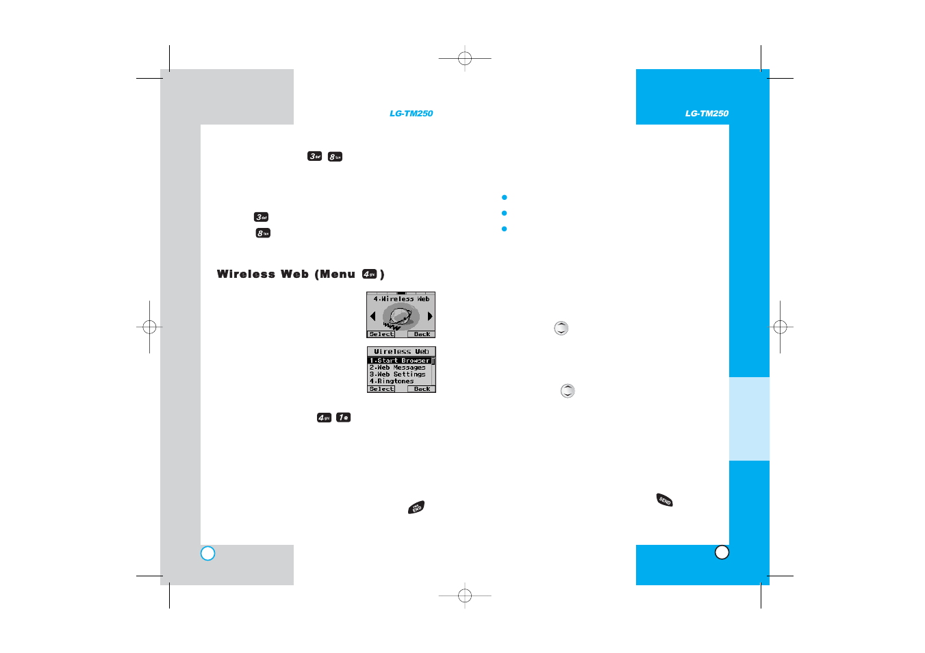 LG -TM250 User Manual | Page 35 / 65