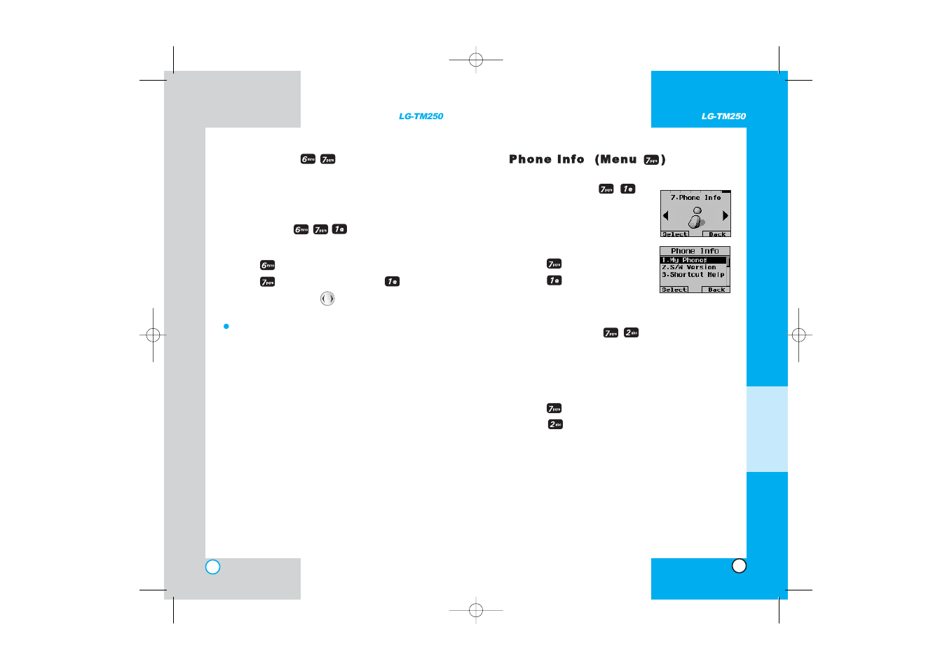 LG -TM250 User Manual | Page 51 / 65