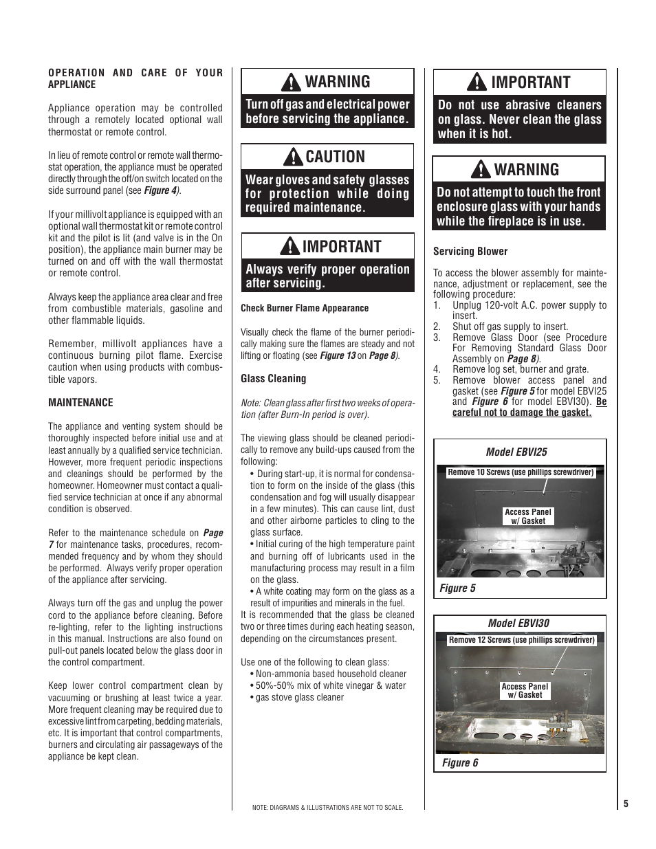 Caution, Important, Warning | Lennox Hearth ELITE EBVI30US User Manual | Page 5 / 20