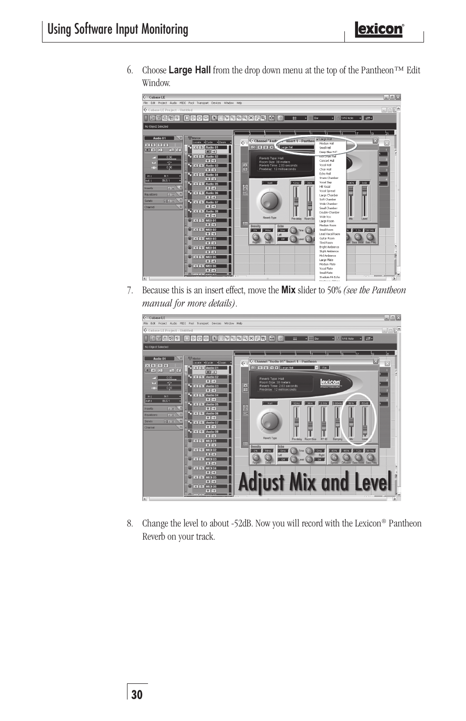 Using software input monitoring | Lexicon Recording Studio User Manual | Page 30 / 36