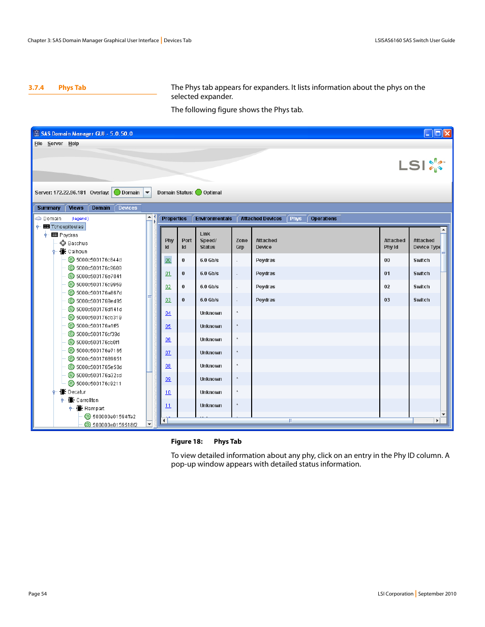 4 phys tab | LSI SAS6160 User Manual | Page 54 / 76