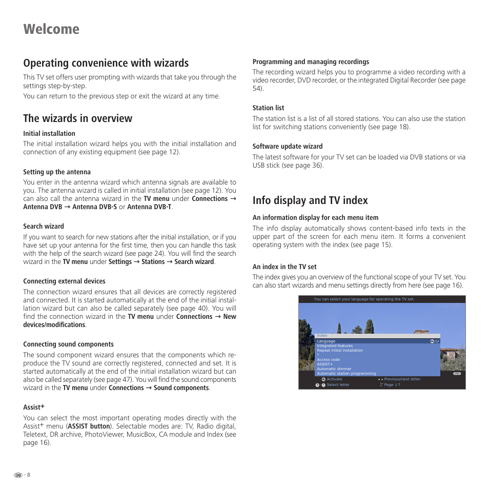 Welcome, Operating convenience with wizards, The wizards in overview | Info display and tv index | Loewe 52 User Manual | Page 8 / 74